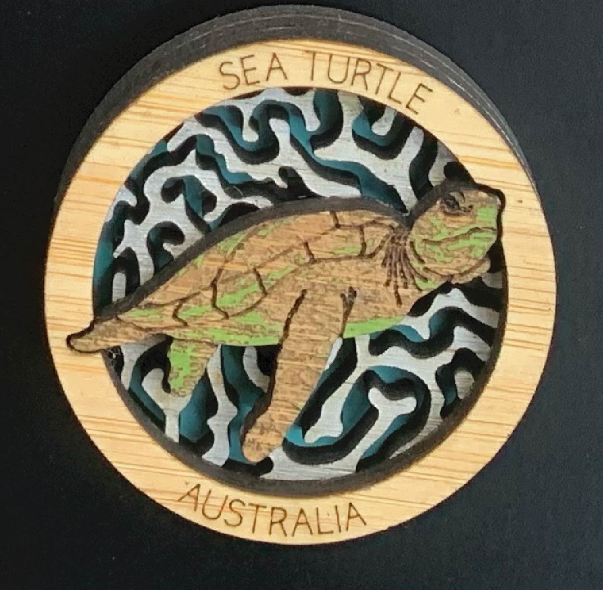 Sea Turtle HotSpot