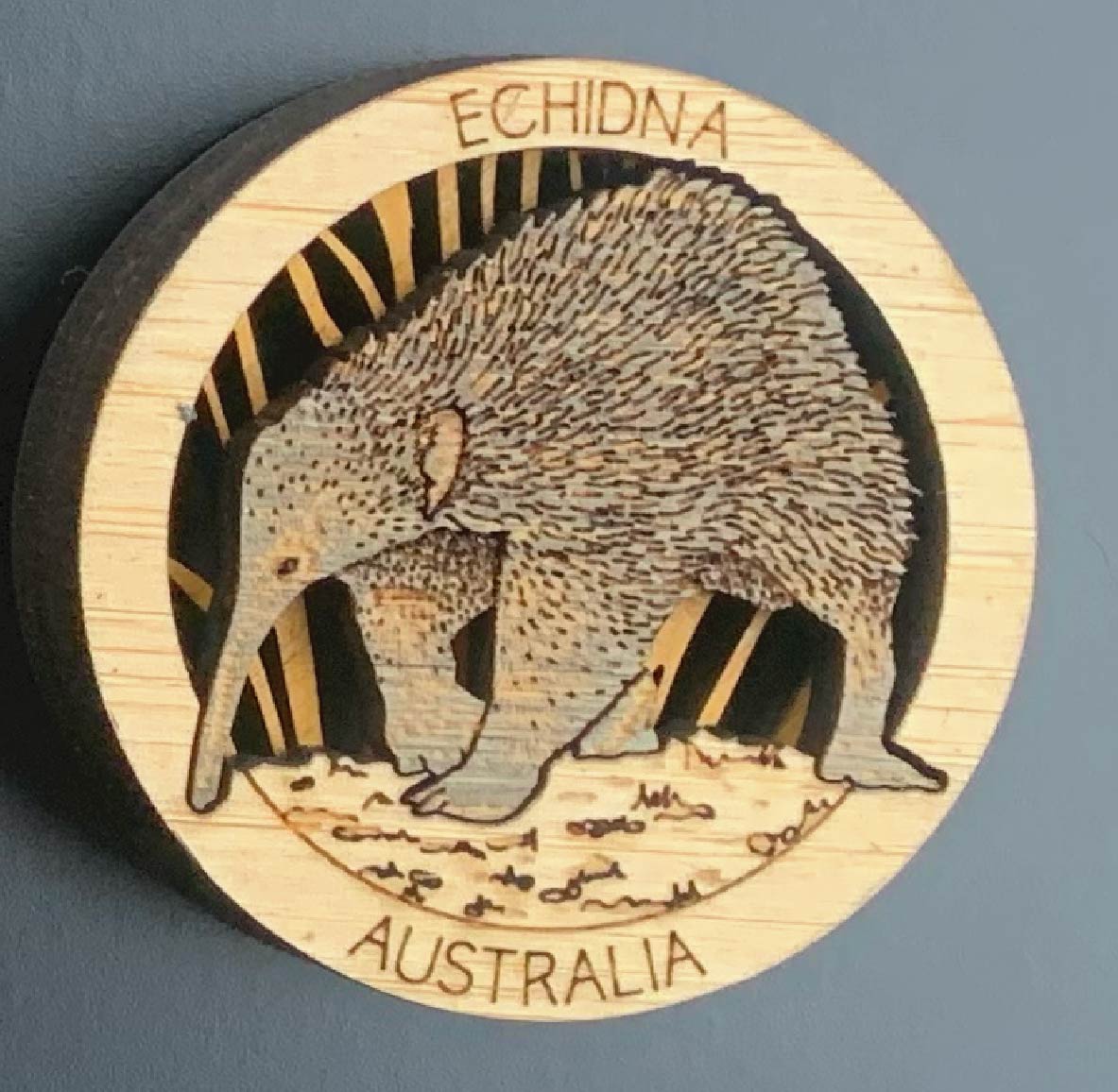 Echidna HotSpot