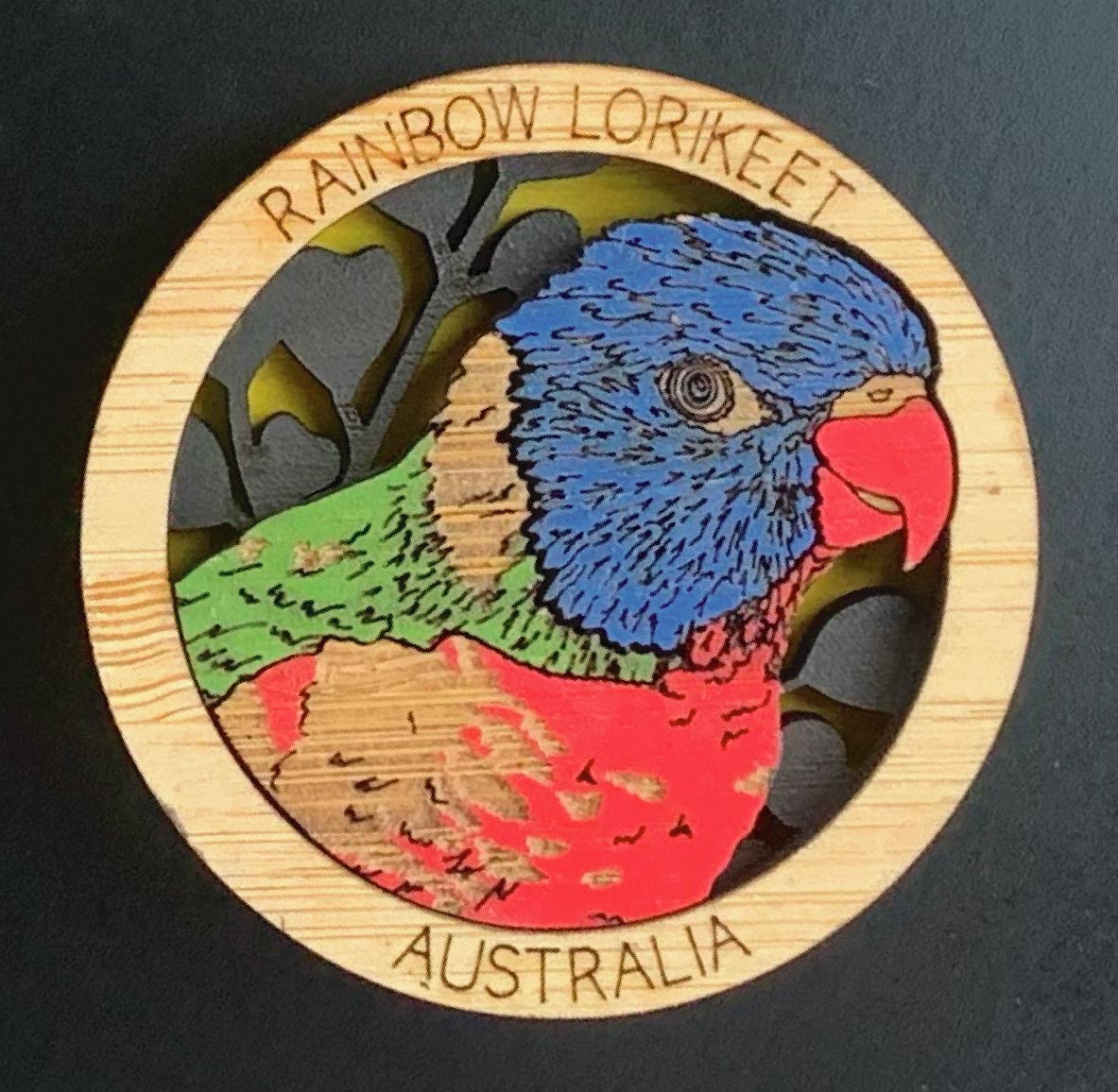 Rainbow Lorikeet HotSpot magnet