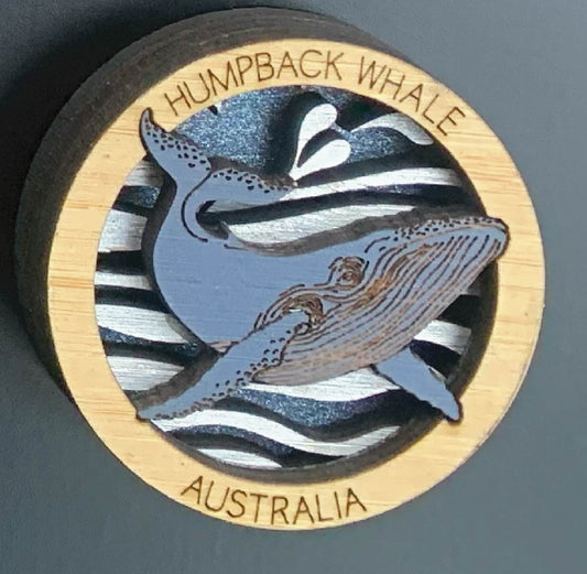 Humpback Whale
